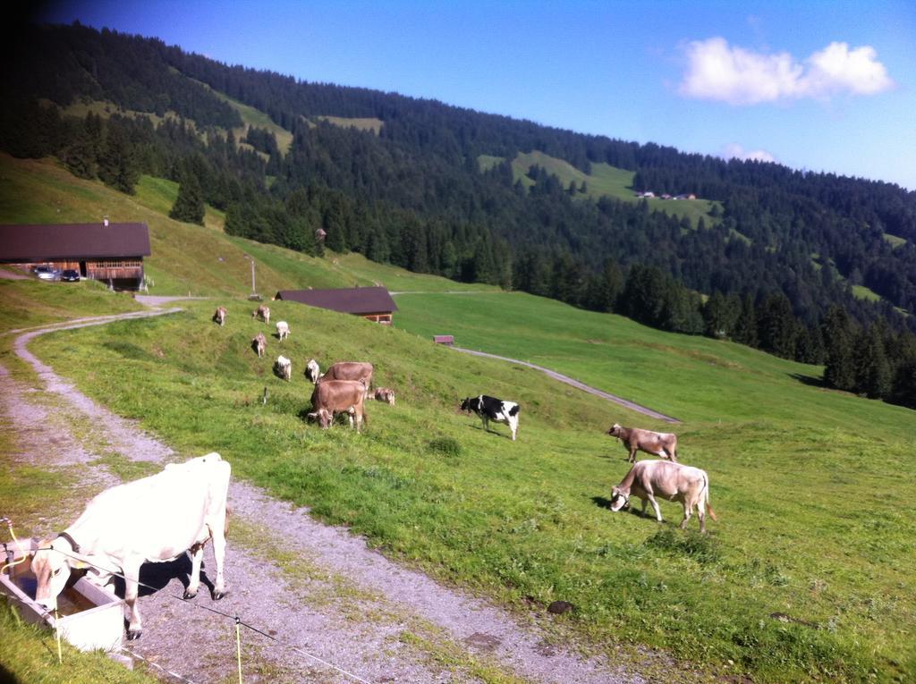 Unser Vorsaess - Klausberg Schwarzenberg im Bregenzerwald Exterior foto